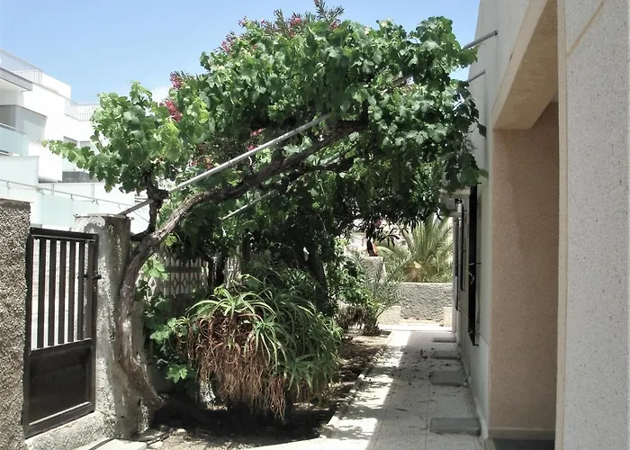 Pitera II